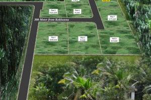 Plot Map Project II